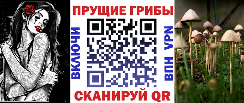 Галлюциногенные грибы Psilocybine cubensis blacksprut сайт Ачхой-Мартан